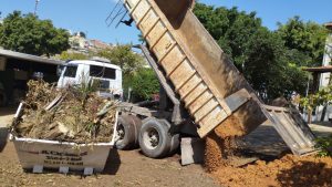 Obra e Projeto de Paisagismo